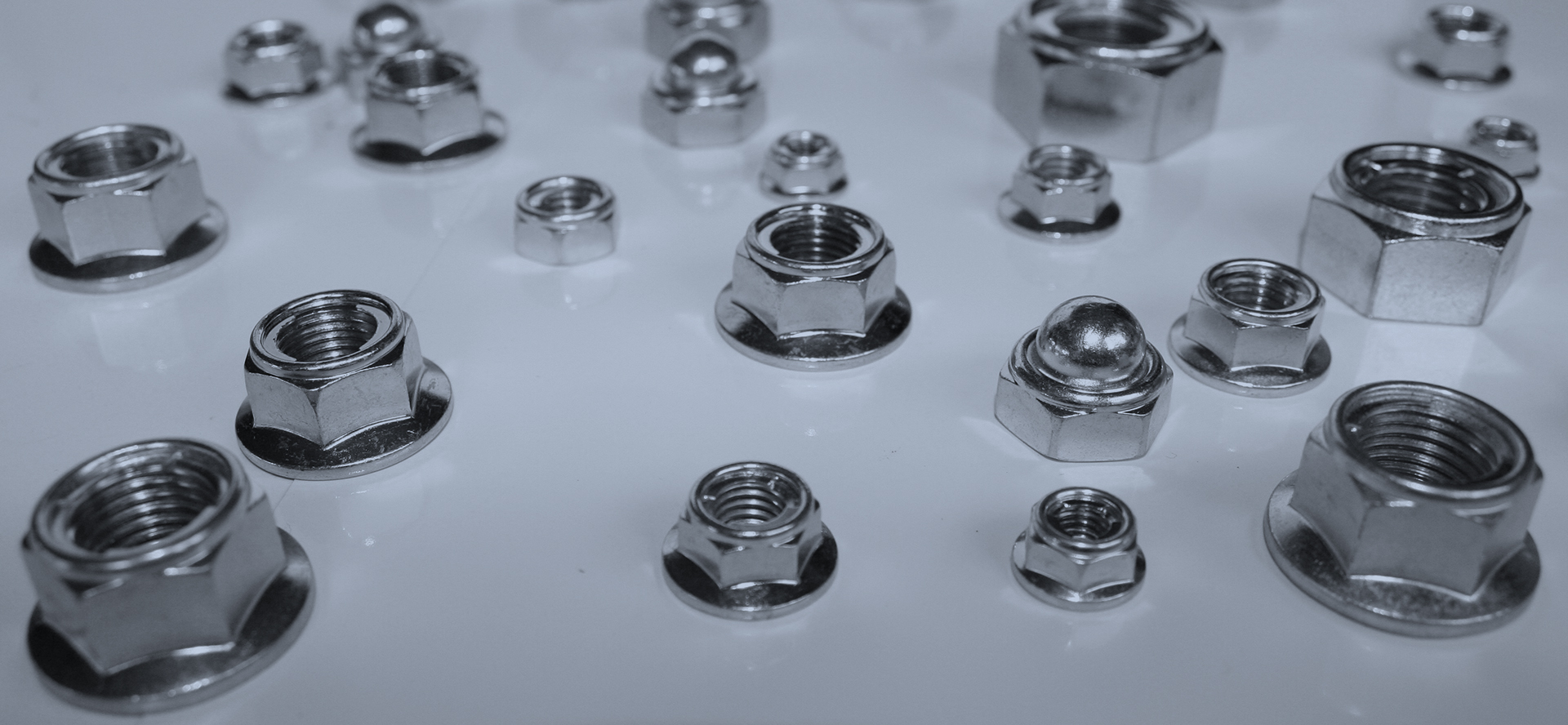 banner-dadi-dax-gally